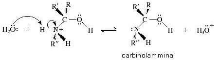 carbinolammina