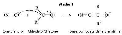 primo stadio della reazione