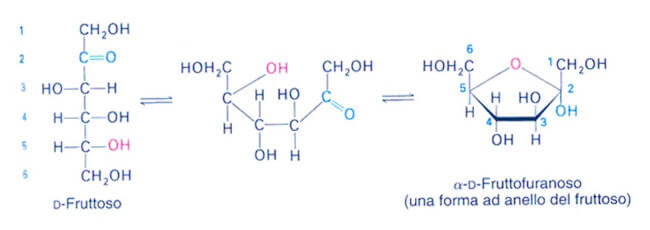 ciclizzazione del D-fruttosio