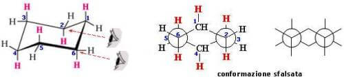 conformazione sfalsata cicloesano