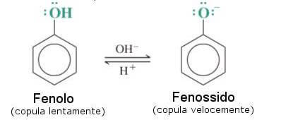 copulazione del fenolo