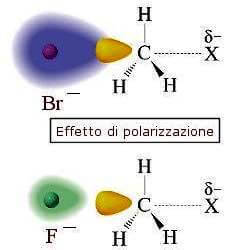 effetto di polarizzazione