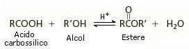 esterificazione di fischer