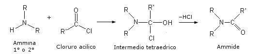 formazione di ammidi