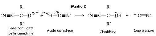 secondo stadio