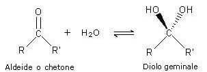 formazione di dioli geminali