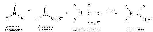 formazione di enammine