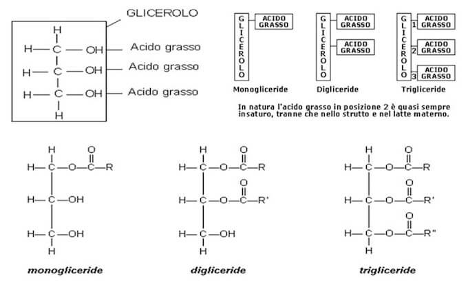 gliceridi