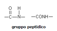 gruppo peptidico
