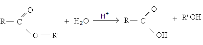 idrolisi di un estere