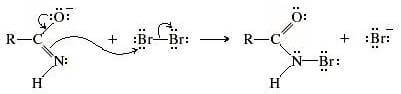 intermedio n-bromoammidico