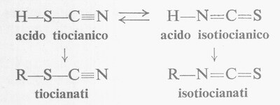 Isomeria tiocianati