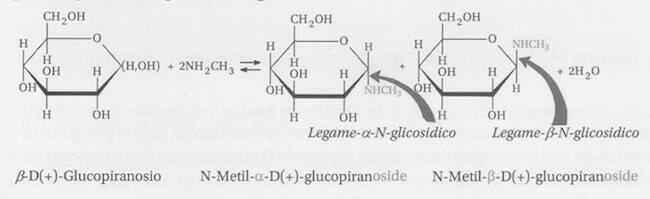 legame N-glicosidico