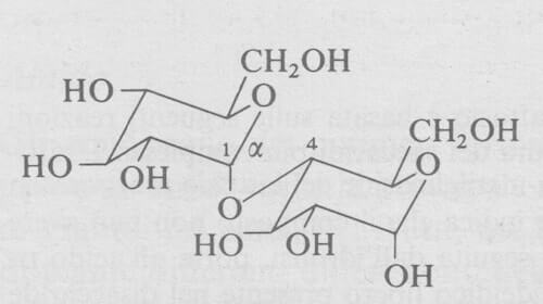 maltosio