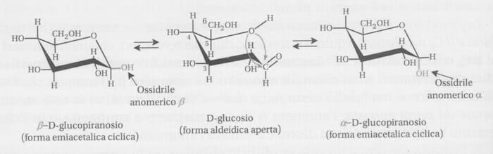 mutarotazione del D-glucosio