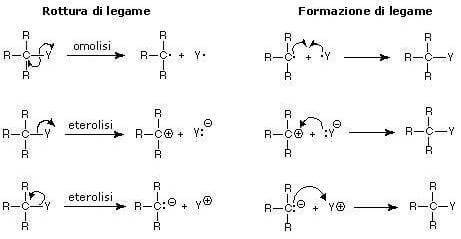 homolítica e heterolítica