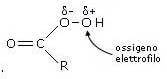 ossigeno elettrofilo perossiacido