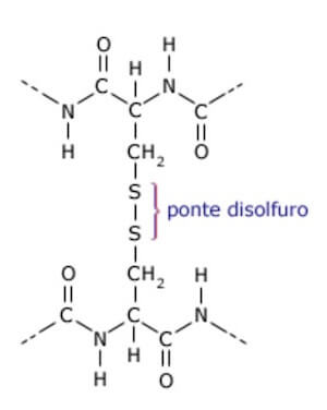 Risultati immagini per ponti di solfuro catena terziaria