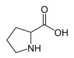 prolina