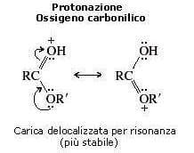 risonanza protonato