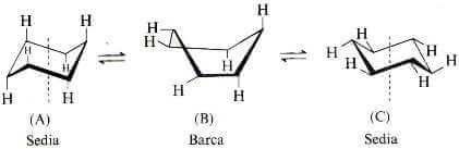 sedia barca sedia