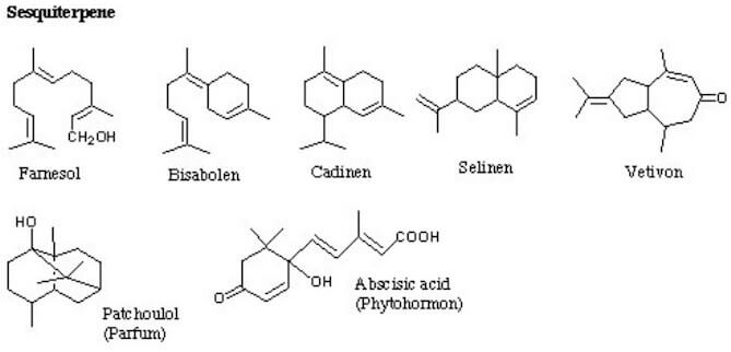 sesquiterpeni