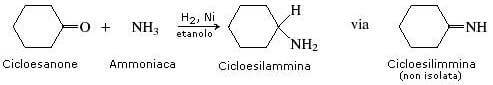 cicloesilammina