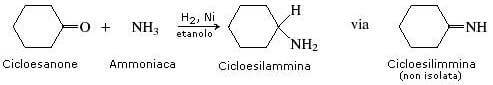 cicloesilammina