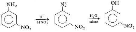sintesi del m-nitrofenolo