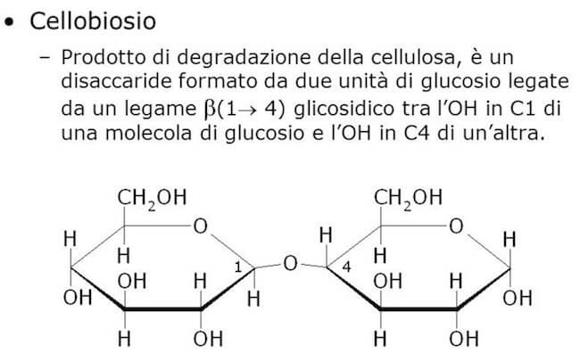 legame cellobiosio