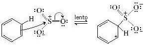solfonazione del benzene stadio lento