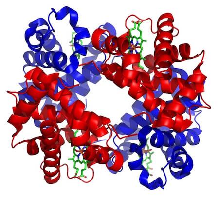 Risultati immagini per struttura quaternaria