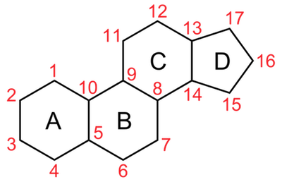 Alcune persone eccellono con steroli e steroidi differenza e altre no: quale sei?