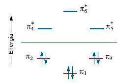 teoria OM benzene