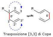 trasposizione [3,3] di cope