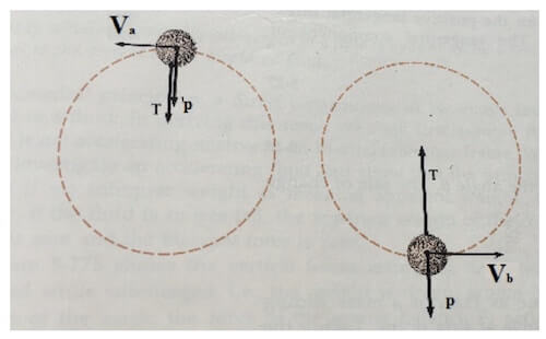 diagrammi di corpo libero di una sfera posta in rotazione lungo una circonferenza verticale