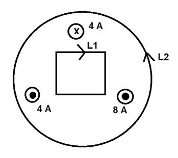 Esercizio sulla circuitazione del campo magnetico