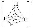 geometria della molecola