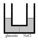 Quesito sulla pressione osmotica situazione iniziale