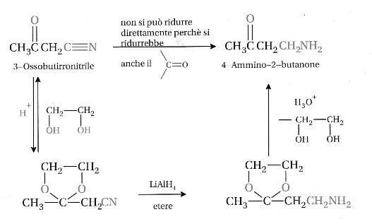 sintesi completa